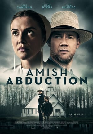 Amish Abduction