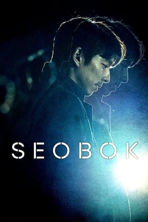 Seobok: Project Clone